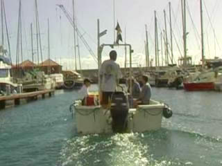  加那利群岛:  西班牙:  
 
 Diving, Gomera